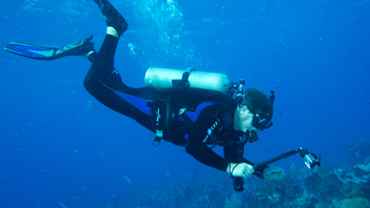 Dive > 2014