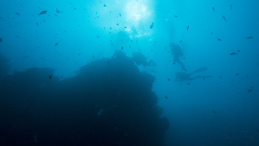 Dive > 2016 > 20160910 MVUnprocessed