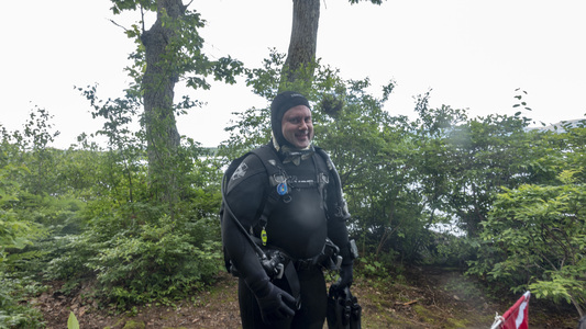 Dive > 2018