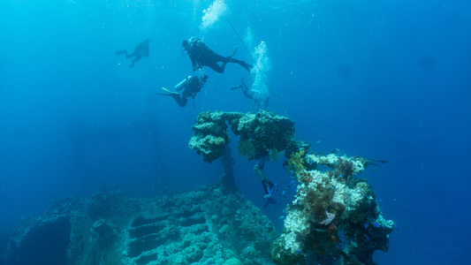 Dive > 2019