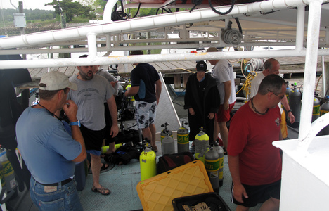 Dive > 2010