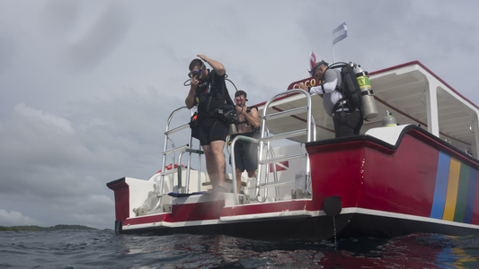 Dive > 2013 > 363 365 20131028 RoatanFirstBrightWallCoCoViewNight