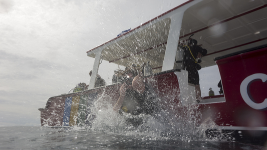 Dive > 2013 > 337 338 20130825 FollyCove > 359 360 20131027 RoatanSunAnksPlaceCocoviewwall