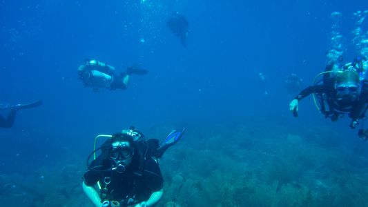 Dive > 2013 > 337 338 20130825 FollyCove > 370 371 20131030 RoatanCayHoleNewmanall
