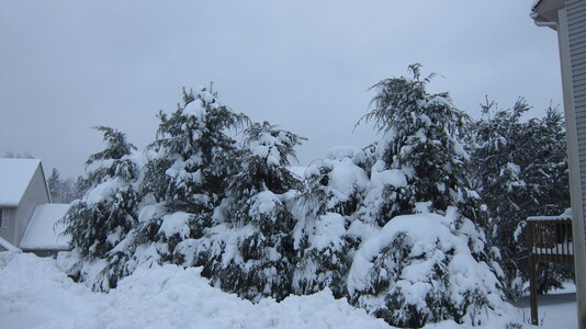Friends > 20120301 WinterHome